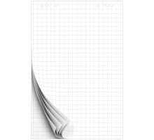 Блокнот для флипчарта 10 листов, 67,5x98 см, клетка